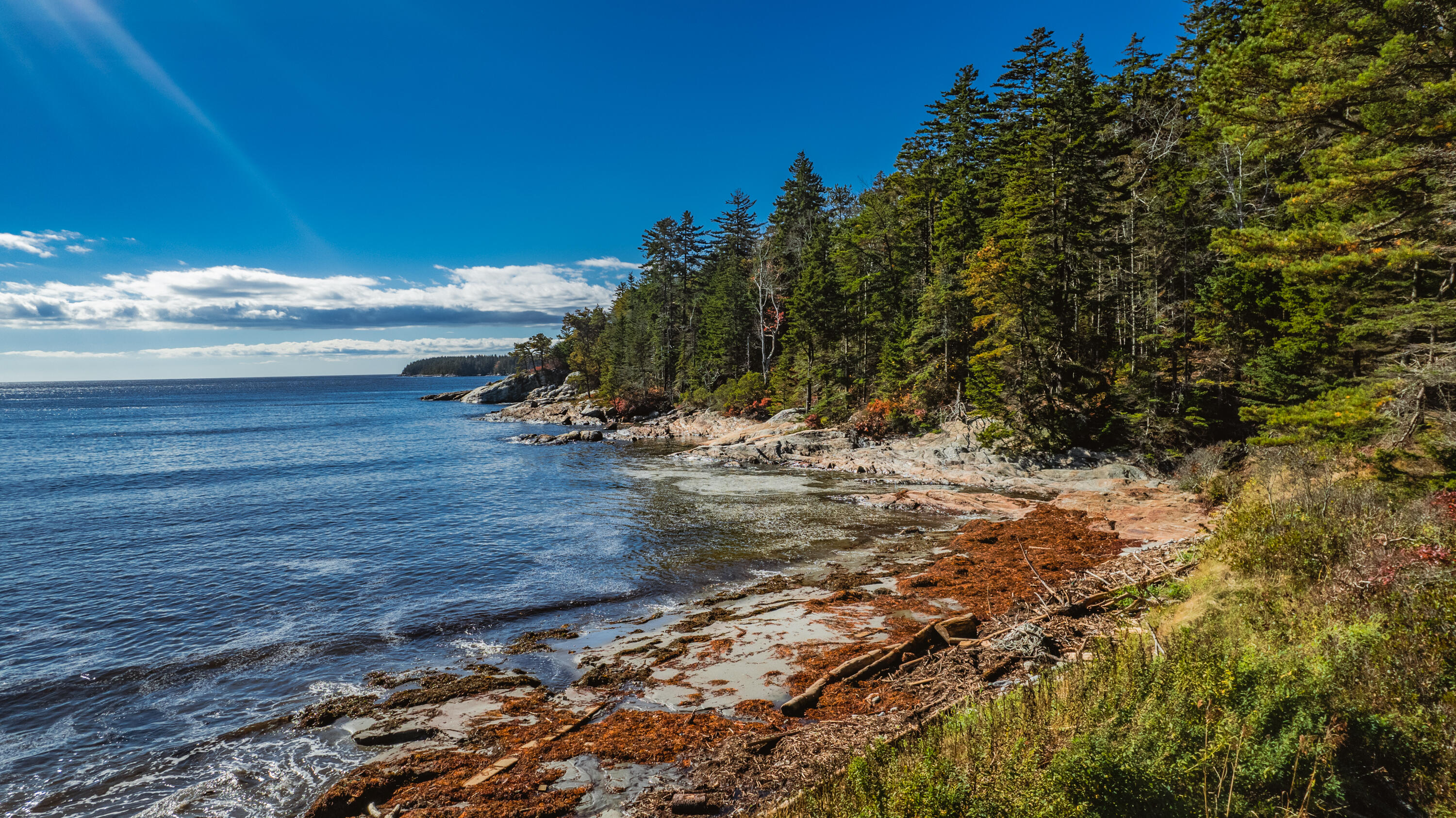 268 West Point Road Phippsburg, ME 04562 - Photo 51 of 63 268 West Point Road Phippsburg 051