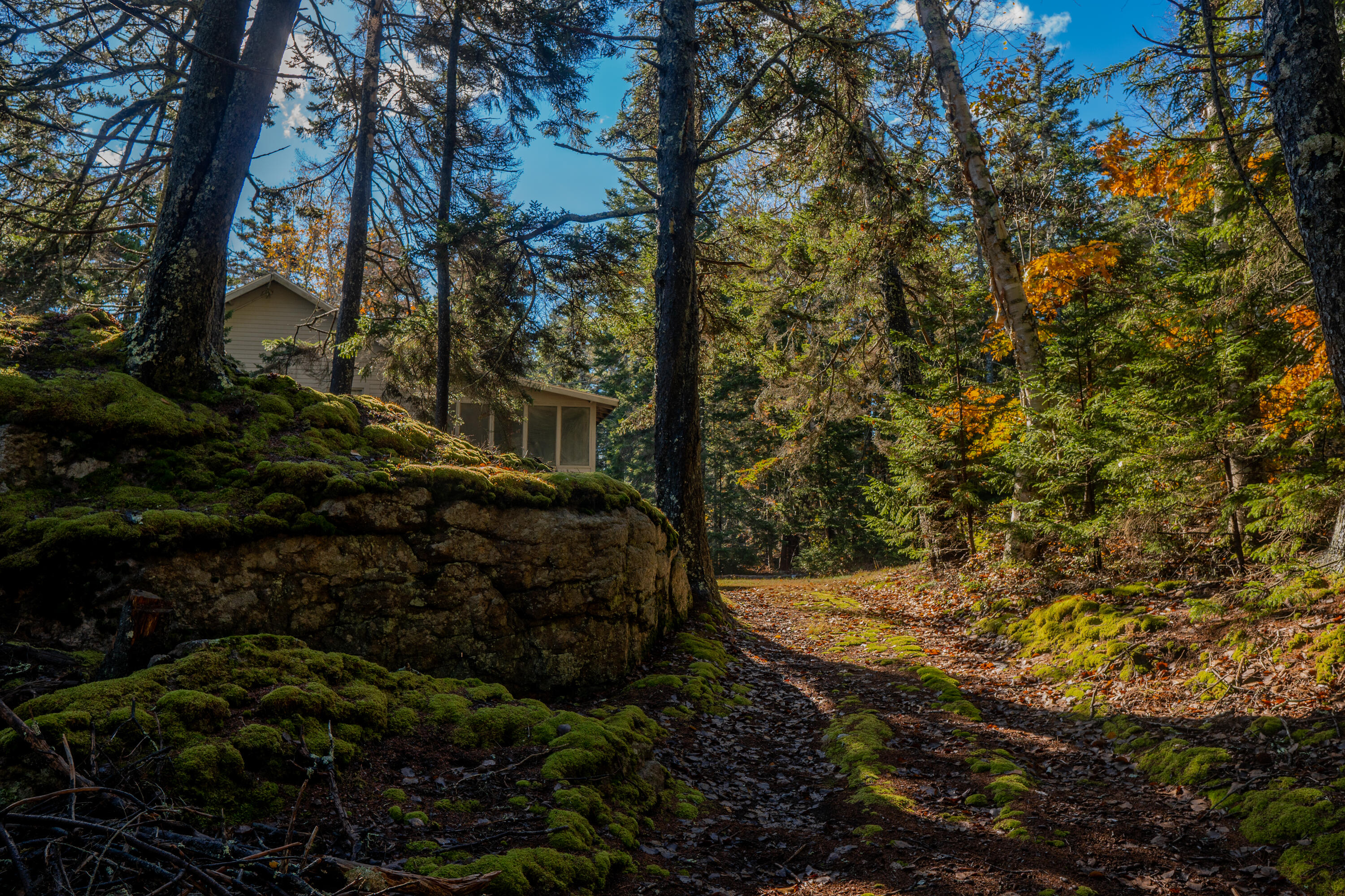 268 West Point Road Phippsburg, ME 04562 - Photo 10 of 63 268 West Point Road Phippsburg 010