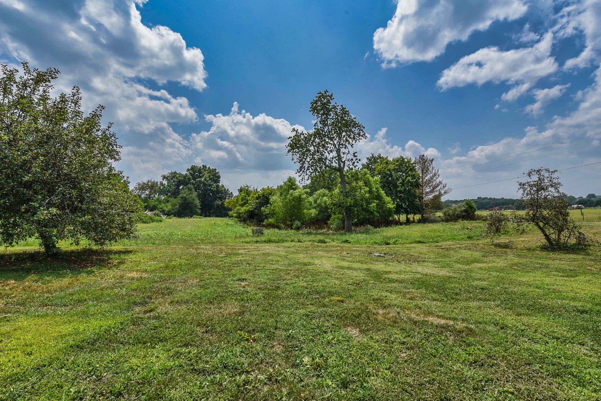 434 Fowler Ford Road Portland, TN 37148 - Photo 8 of 45 a view of a field with an trees