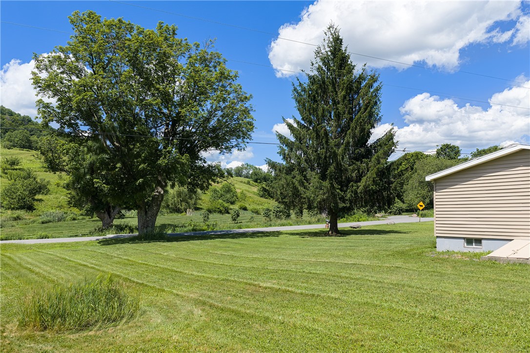 1780 Roses Brook Road Stamford, NY 13788 - Photo 34 of 47