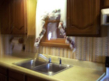 11024 Plumville Road Marion, IL 62959 - Photo 7 of 11