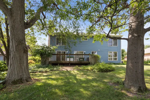a view of a house with a large tree and a yard in front of a house