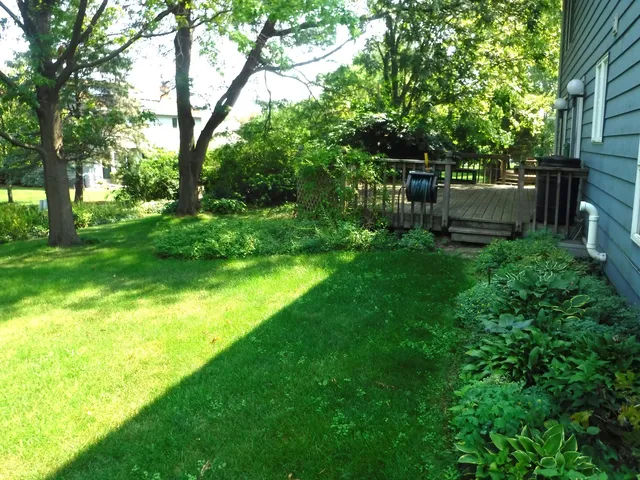 a view of garden with trees