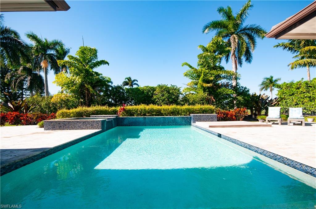 a view of a swimming pool with a yard and palm trees
