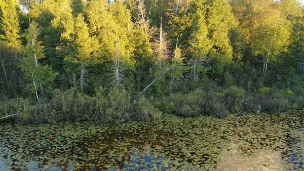 $599,000 | 32118 East Gunn Lake Trail, Marcell, MN 56657