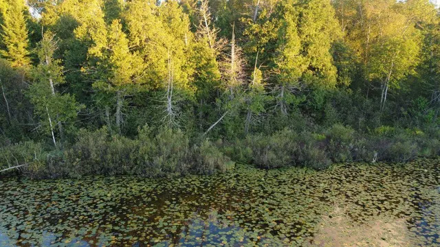 $599,000 | 32118 East Gunn Lake Trail, Marcell, MN 56657