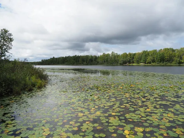 $599,000 | 32118 East Gunn Lake Trail, Marcell, MN 56657