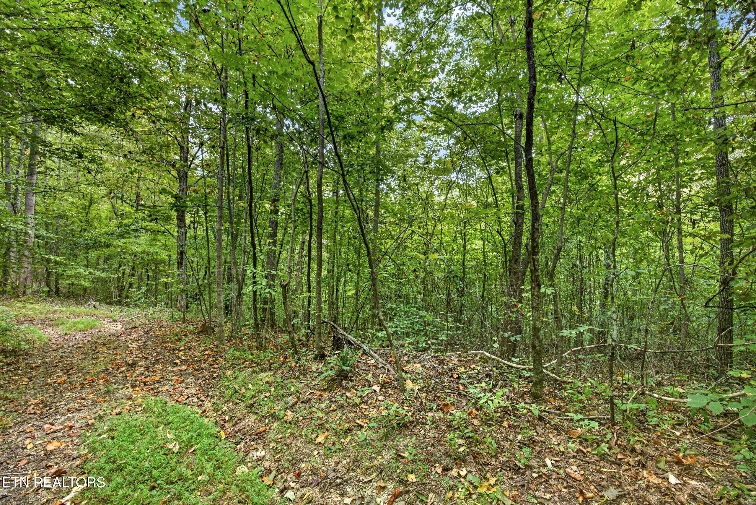 Lot 32 Timber Ridge Lane Celina, TN 38551 - Photo 3 of 15 2-8N5A6578