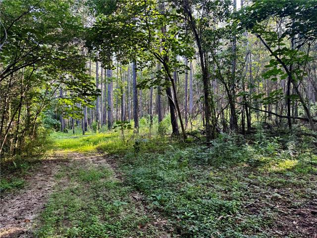 3 Ward Line Road Bogalusa, LA 70427 - Photo 4 of 12