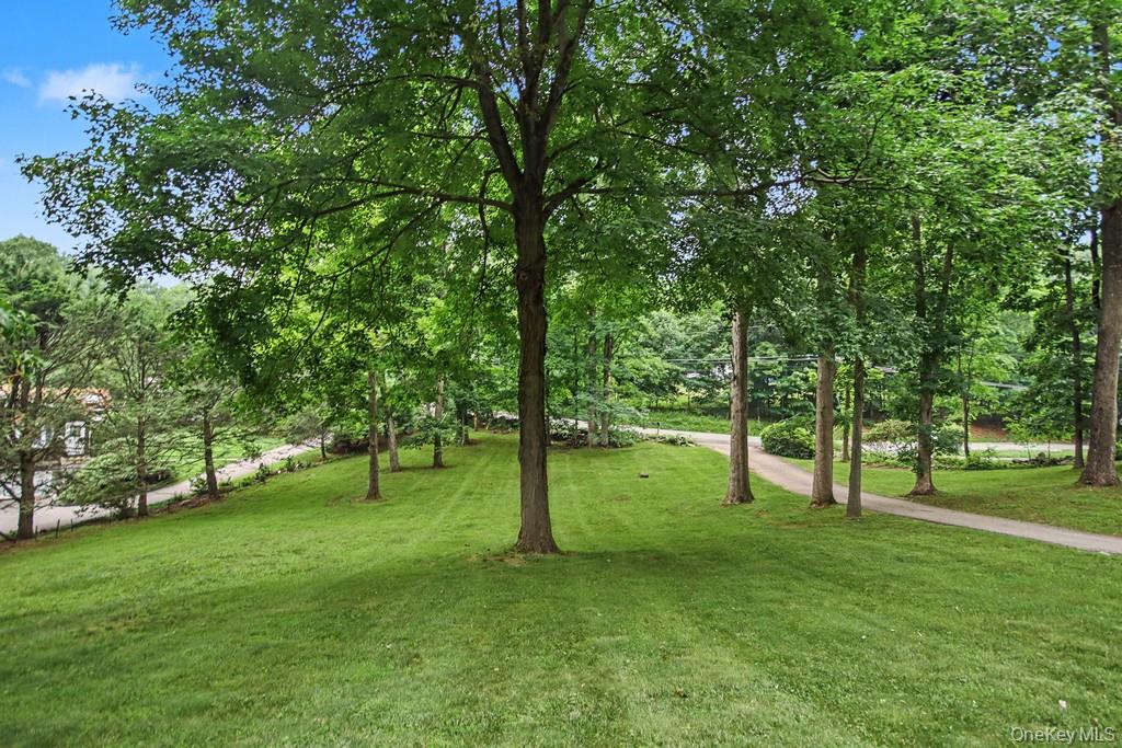 59 Cuddy Road Mahopac, NY 10541 - Photo 8 of 36