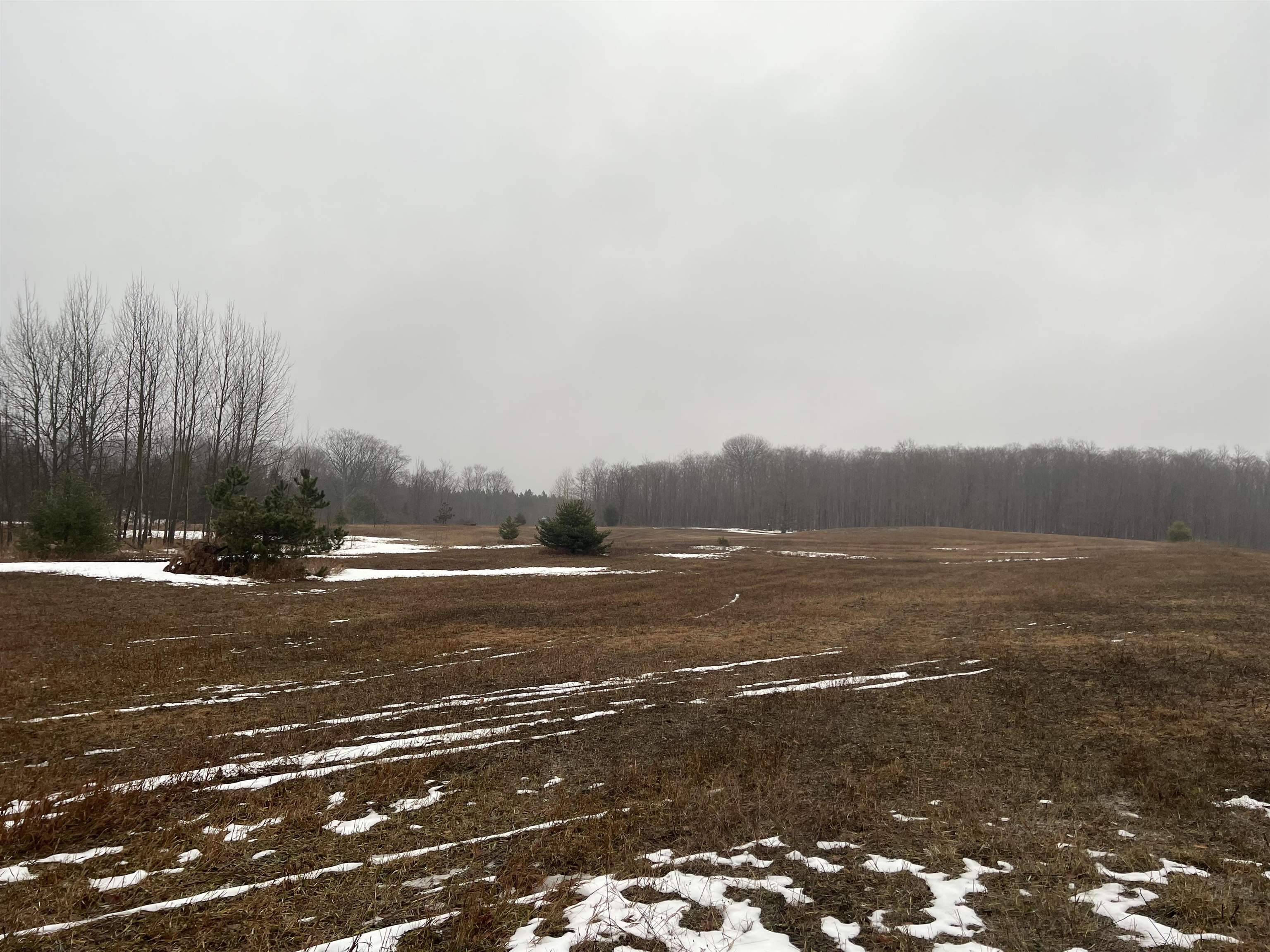 Xxx East Gill Road Carp Lake, MI 49718 - Photo 2 of 34 1907796-1.JPG