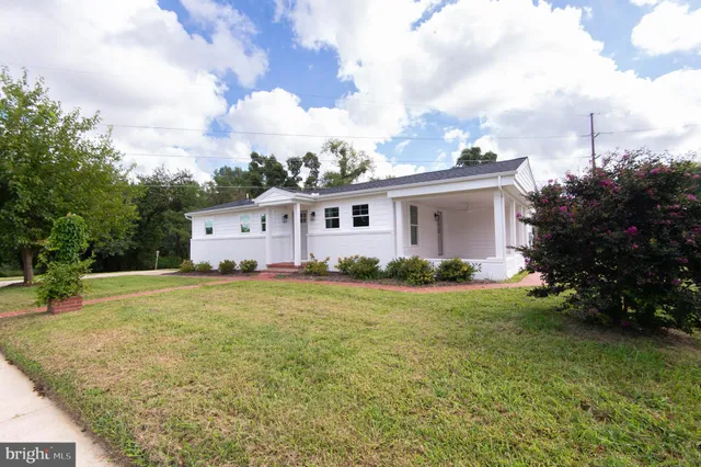 a view of a backyard with plants and a big yard