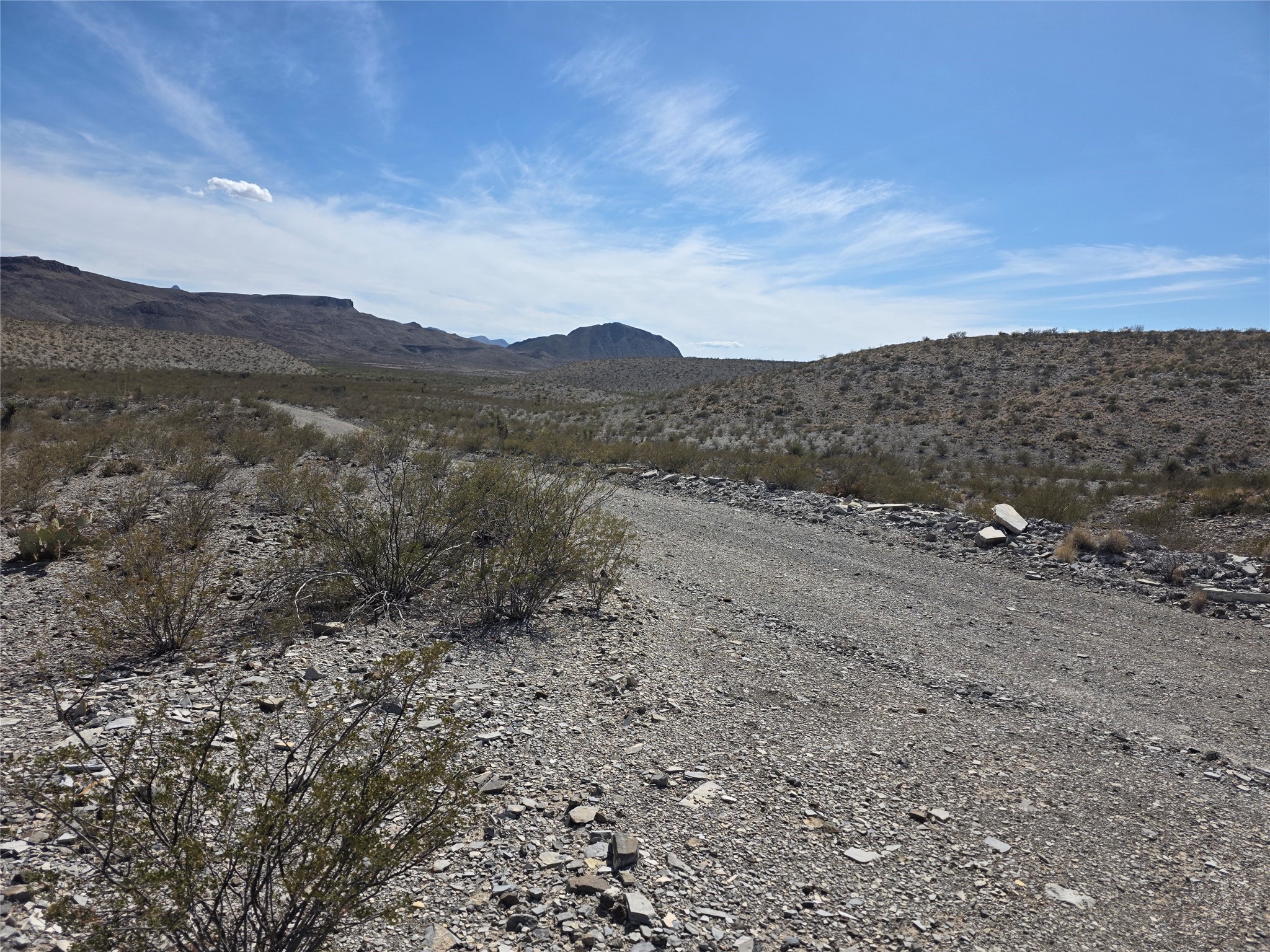 1 Bob Cat Alpine, TX 79830 - Photo 2 of 29