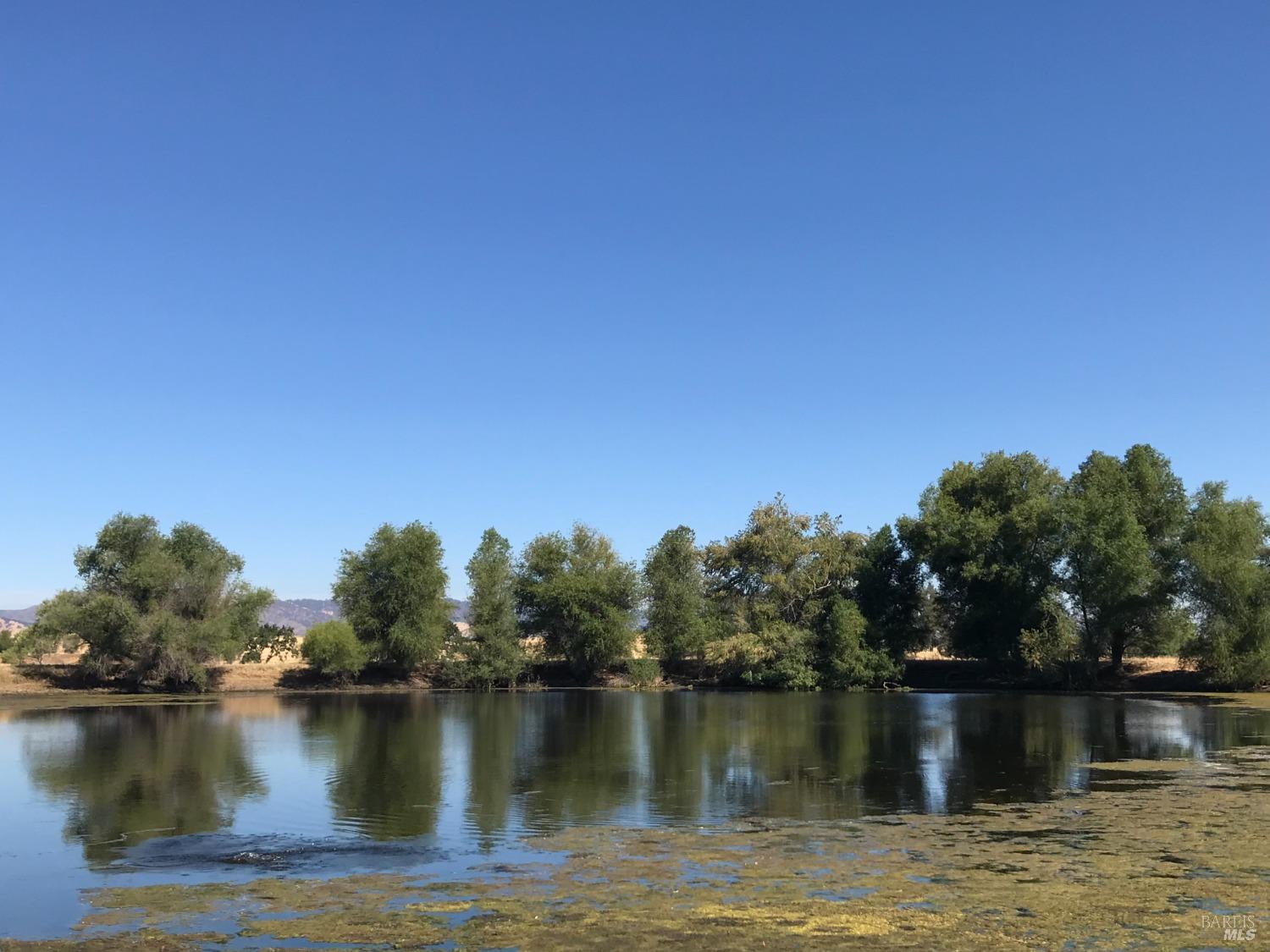 a view of a lake with houses in the back