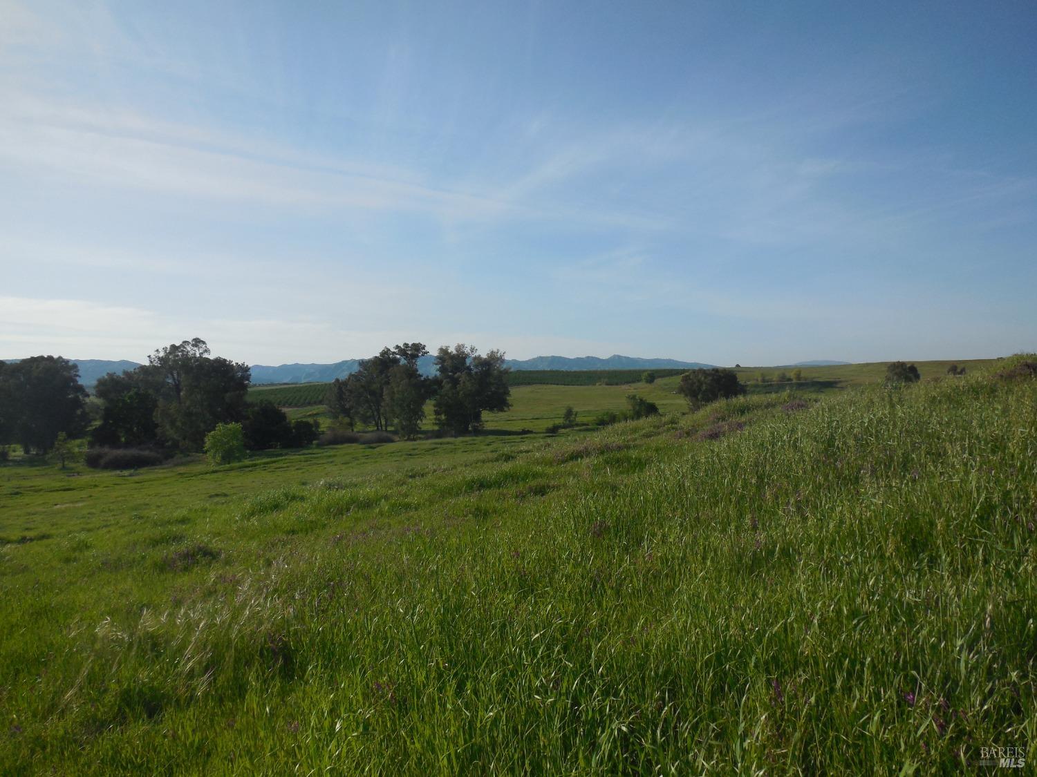 0 Timm Road Winters, CA 95694 - Photo 13 of 22 a view of a lush green space with sea