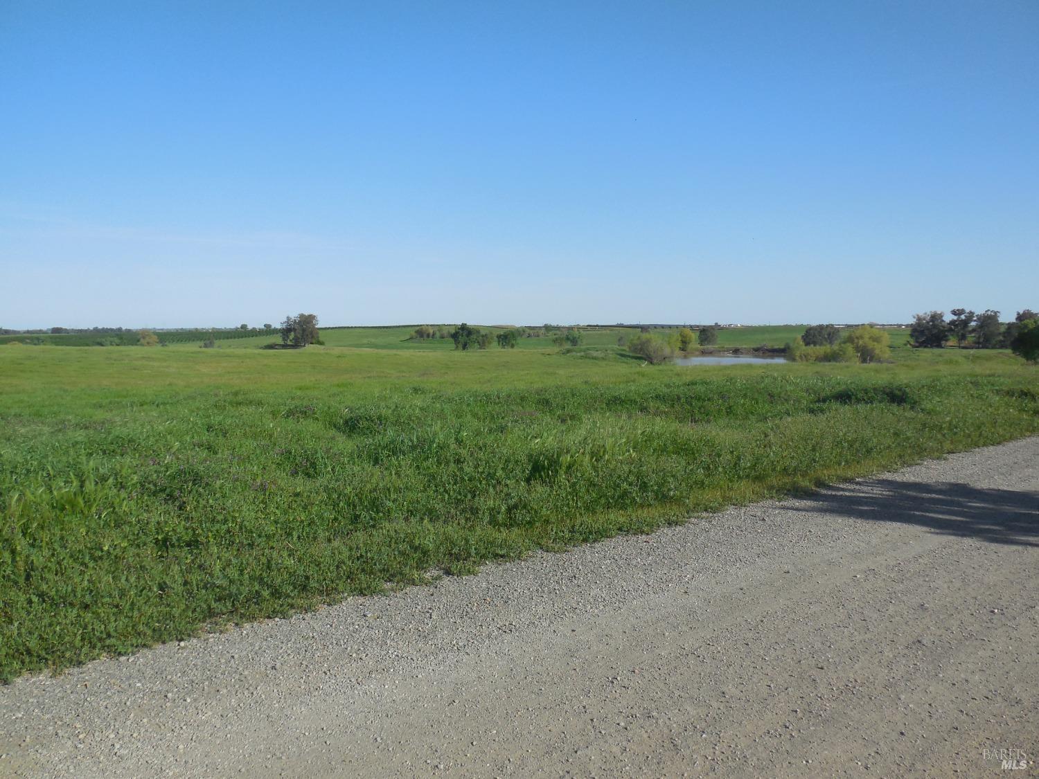 0 Timm Road Winters, CA 95694 - Photo 16 of 22 a view of a field with grass and trees