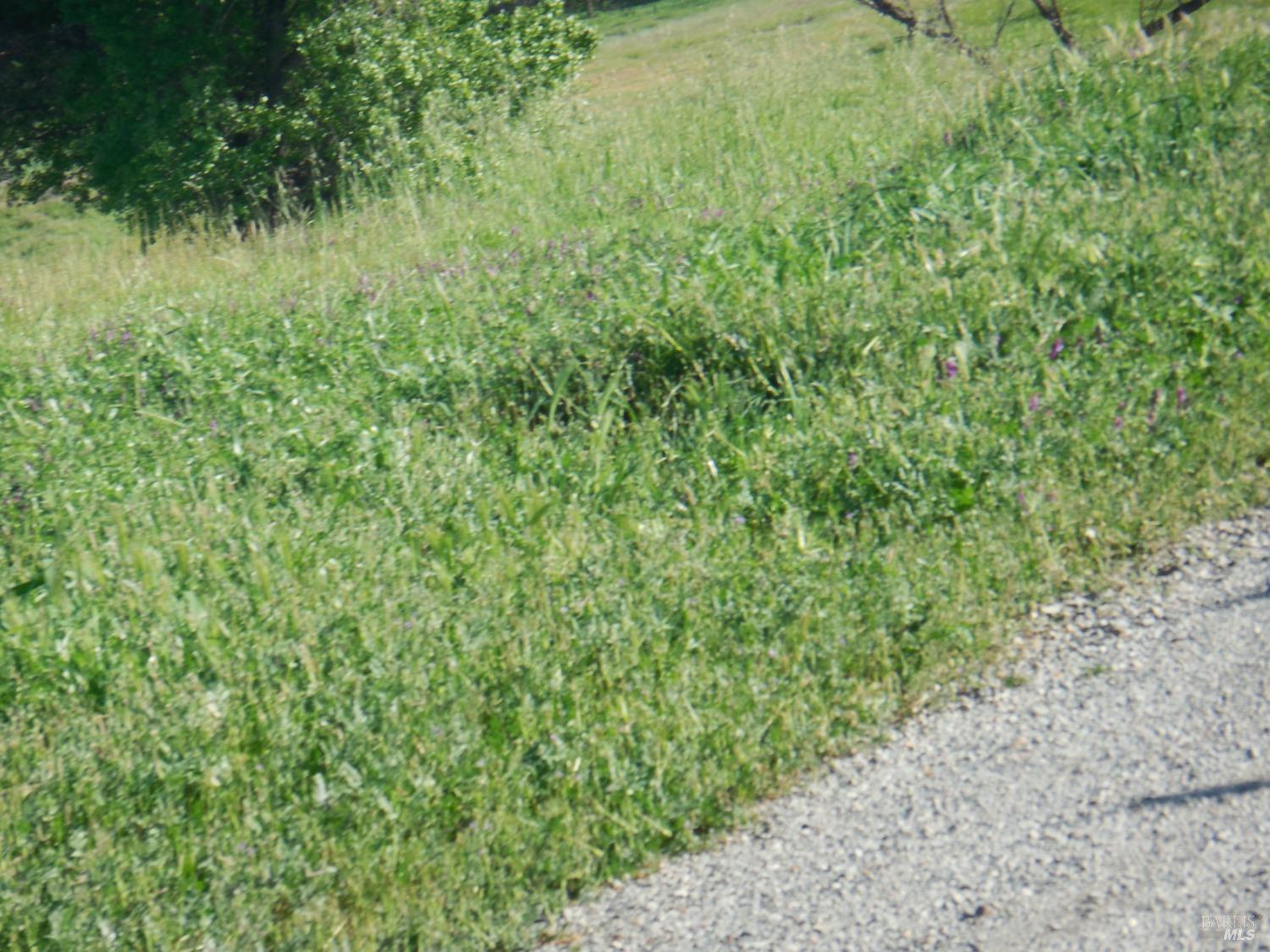 0 Timm Road Winters, CA 95694 - Photo 18 of 22 a view of a lush green field