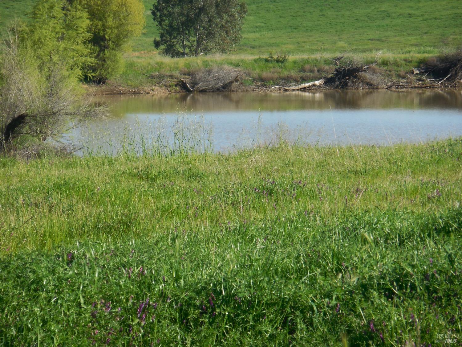 0 Timm Road Winters, CA 95694 - Photo 19 of 22 a view of lake with green space