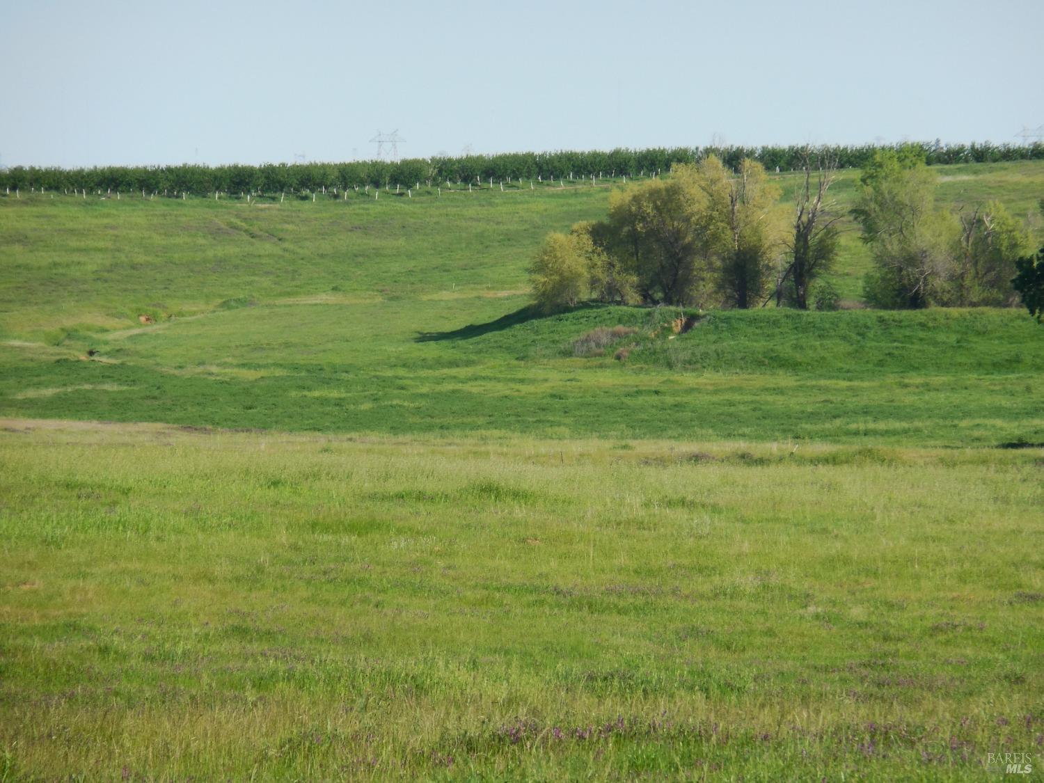0 Timm Road Winters, CA 95694 - Photo 20 of 22 a view of a lake with a big yard