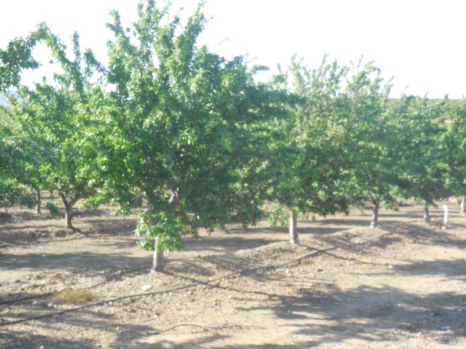 0 Timm Road Winters, CA 95694 - Photo 9 of 22 a house with lots of trees