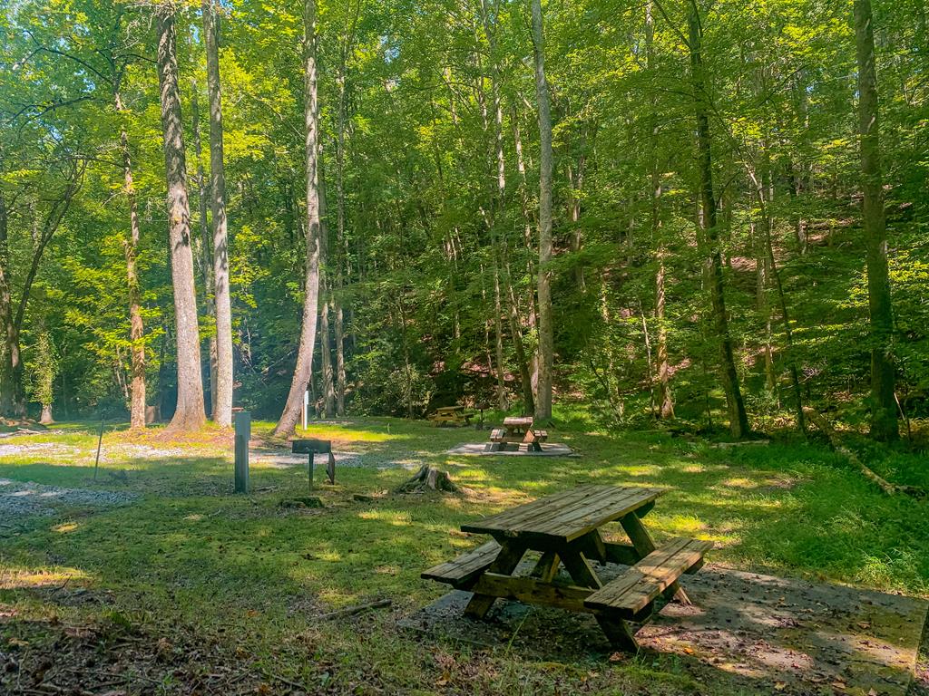 161 Walnut Ridge Ellijay, GA 30536 - Photo 63 of 66 Common Area - Picnic Area