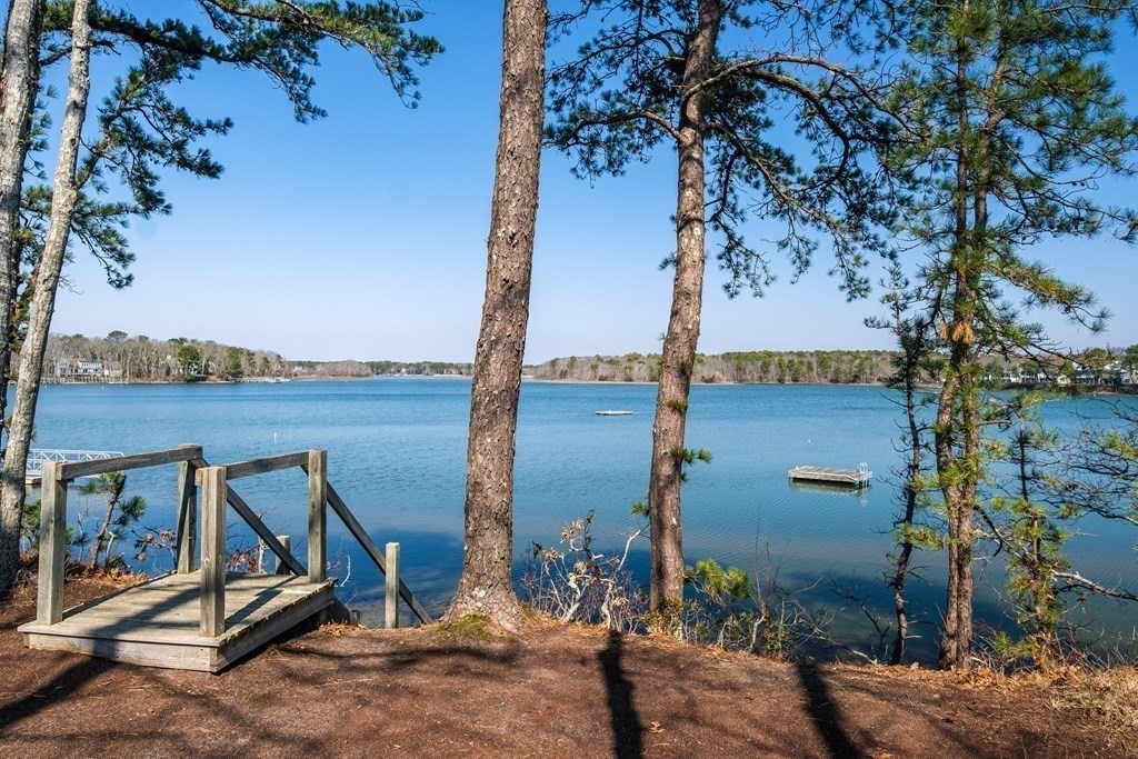 61 Tide Run Mashpee, MA 02649 - Photo 34 of 39 a view of a lake with a tree