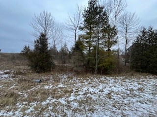Tbd Lakeview Drive Kewaunee, WI 54216 - Photo 9 of 12