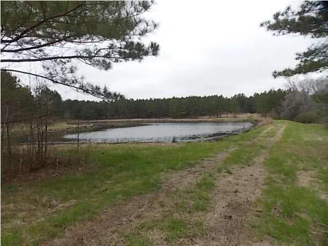 2300 Haley Road Terry, MS 39170 - Photo 29 of 36 Photo 29