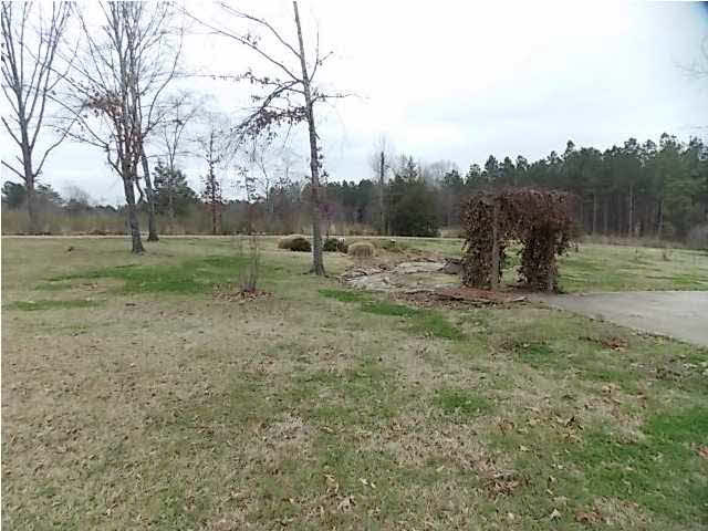 2300 Haley Road Terry, MS 39170 - Photo 3 of 36 Photo 3