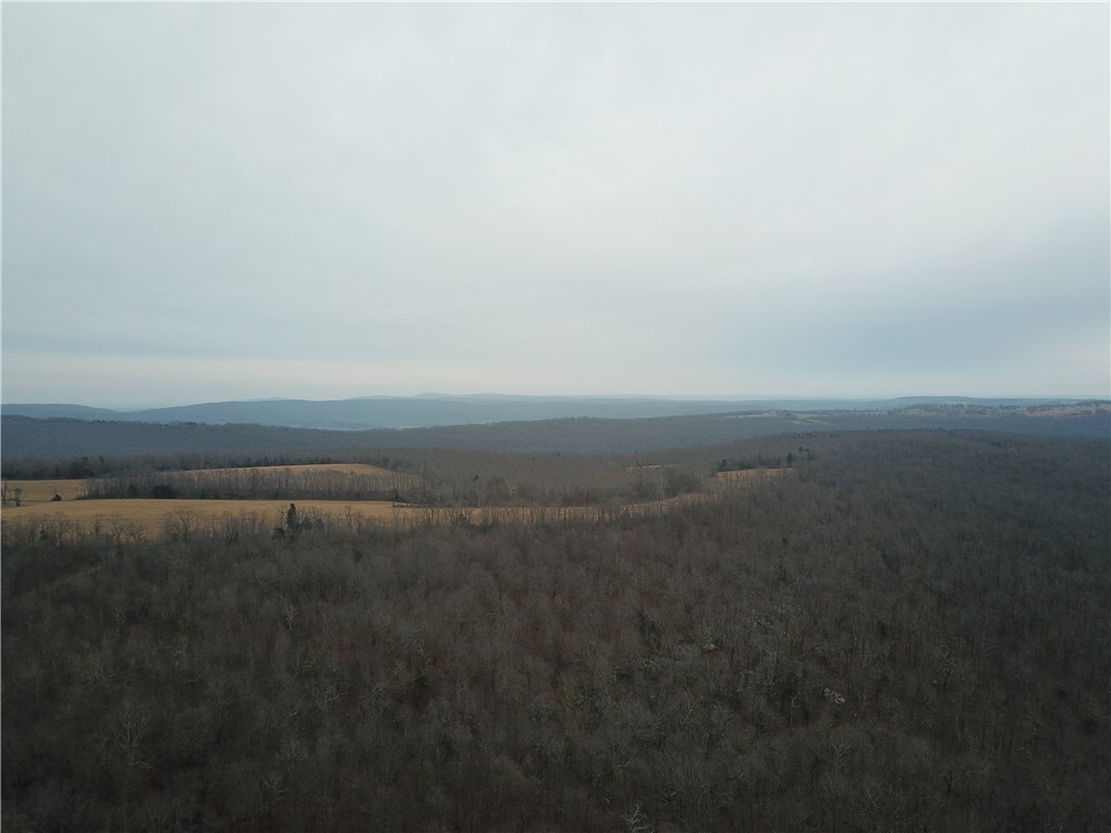 Liberty Road Leslie, AR 72645 - Photo 20 of 25 Gallery Image 20