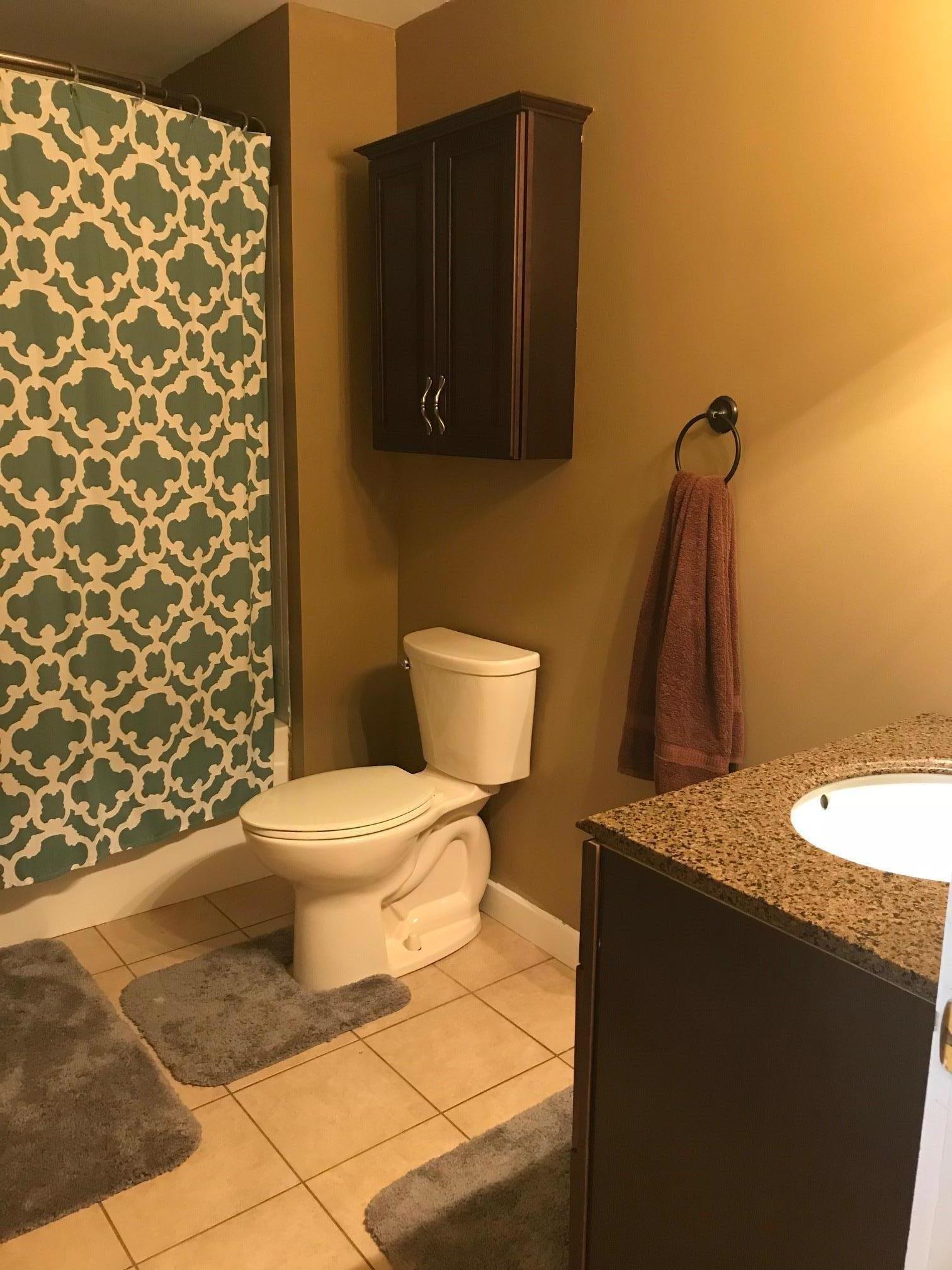 213 South Dickerson Chapel Road Lebanon, TN 37087 - Photo 20 of 30 a bathroom with a granite countertop toilet and a sink