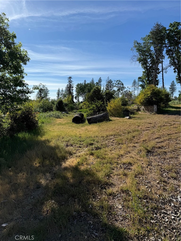 5701 Newland Road Paradise, CA 95969 - Photo 7 of 11 a view of a yard with an empty space