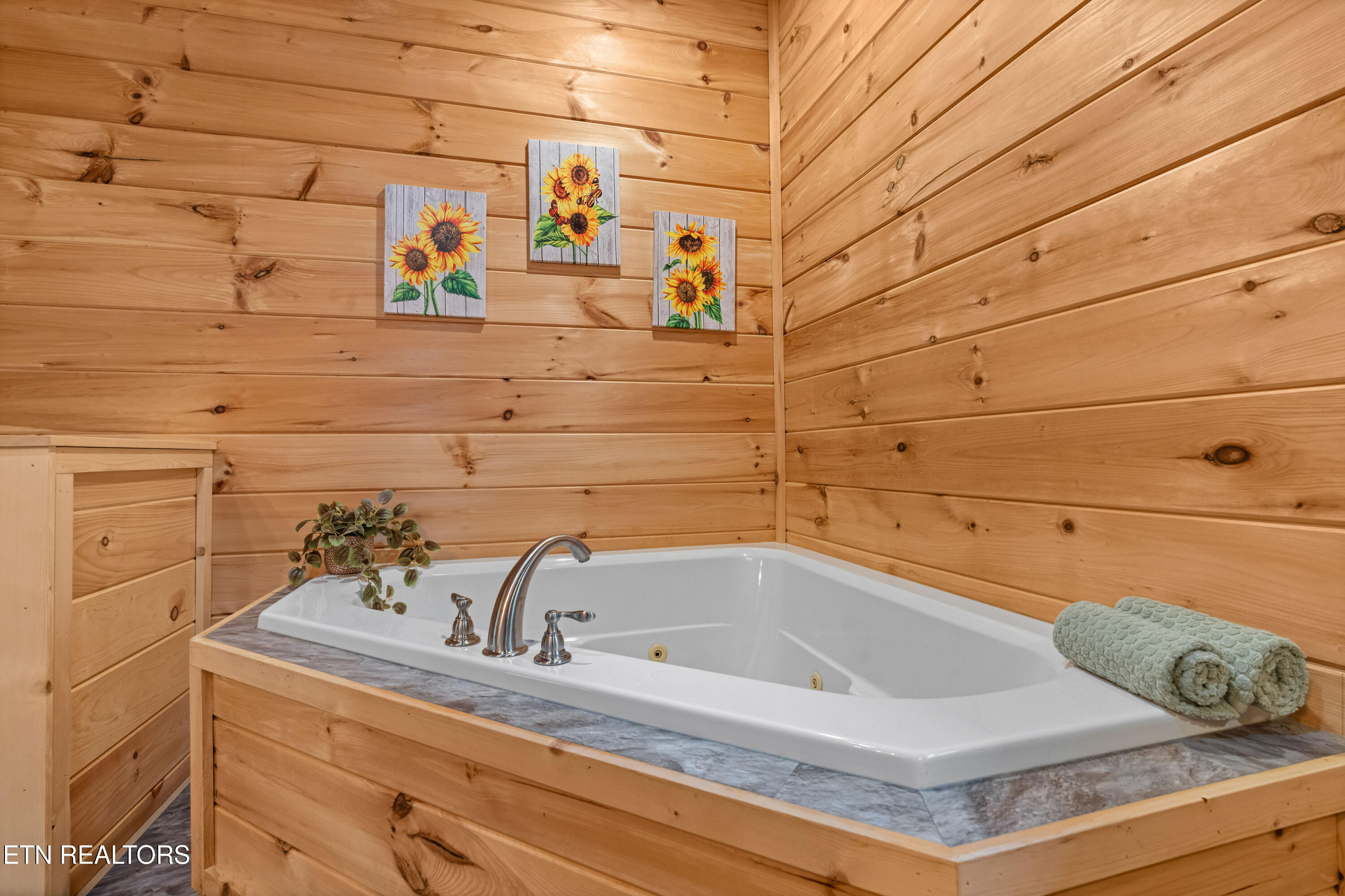 3851 Mistletoe Loop Sevierville, TN 37876 - Photo 34 of 60 3851-mistletoe-loop-34