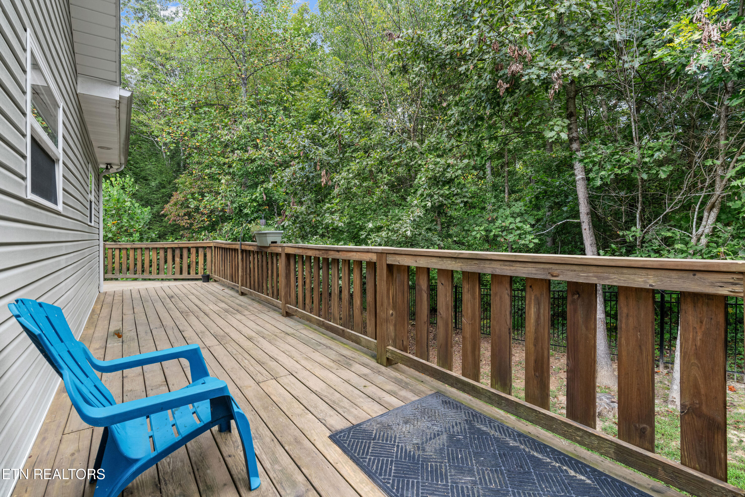 3851 Mistletoe Loop Sevierville, TN 37876 - Photo 37 of 60 3851-mistletoe-loop-37