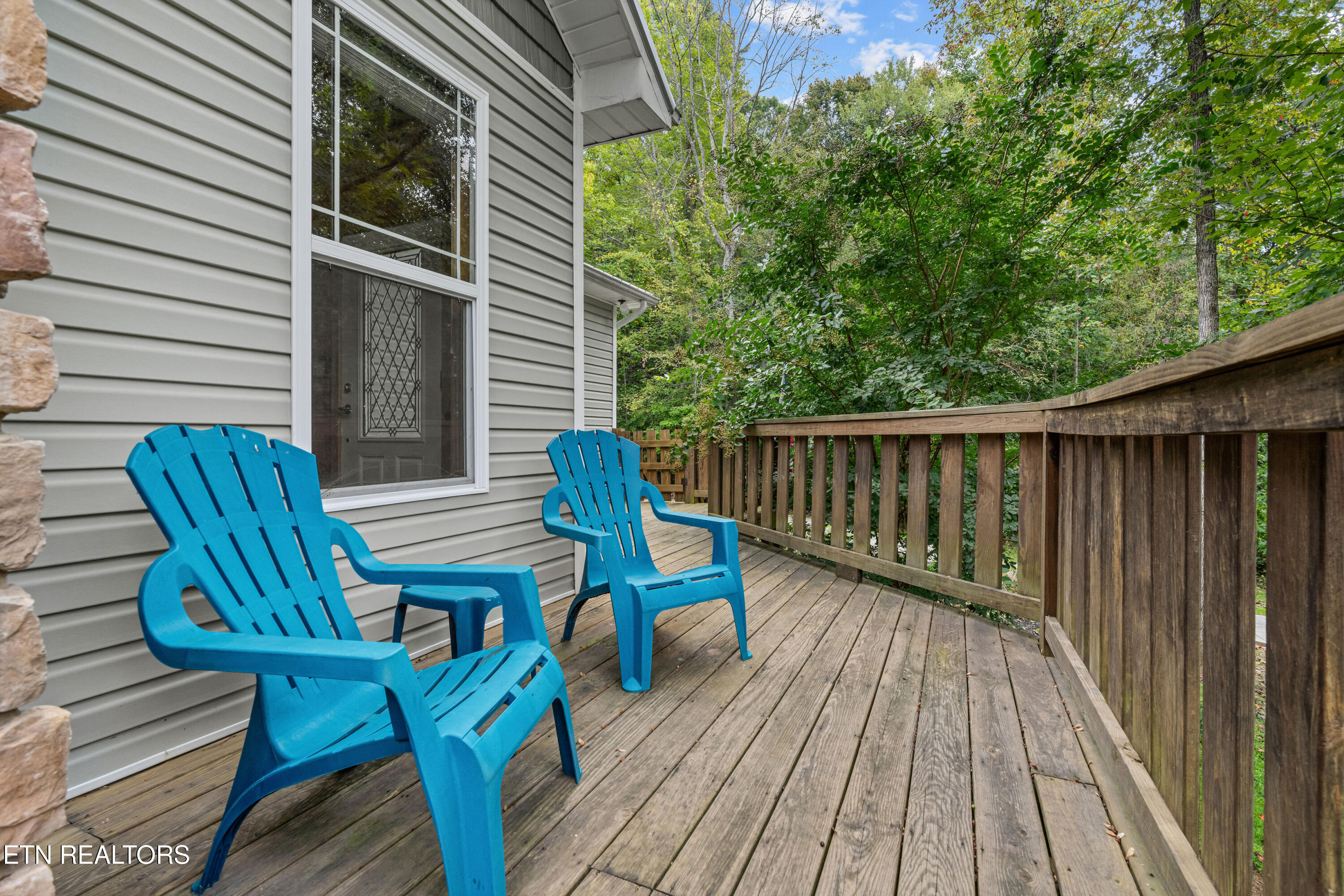 3851 Mistletoe Loop Sevierville, TN 37876 - Photo 40 of 60 3851-mistletoe-loop-40