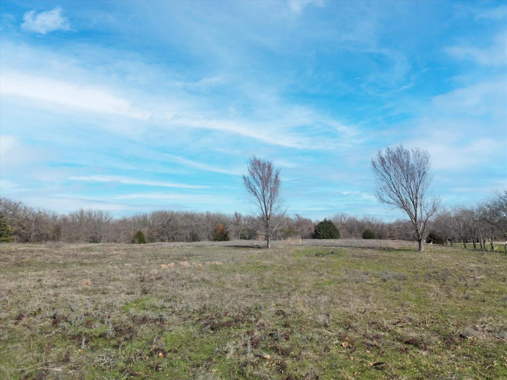 Tbd Joe Allen Road Pilot Point, TX 76258 - Photo 4 of 11