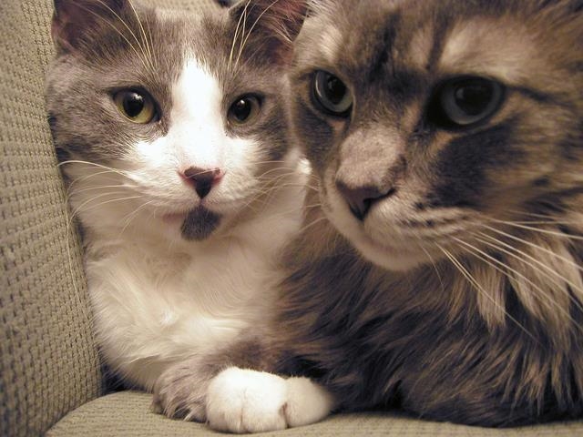 190 Second Street, Unit 3 Manchester, NH 03102 - Photo 28 of 36