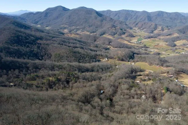 a view of a forest with mountains in the background