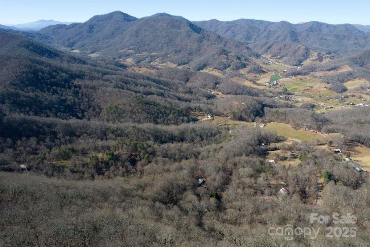 9999 Hookers Gap Road Leicester, NC 28748 - Photo 2 of 10 a view of a forest with mountains in the background