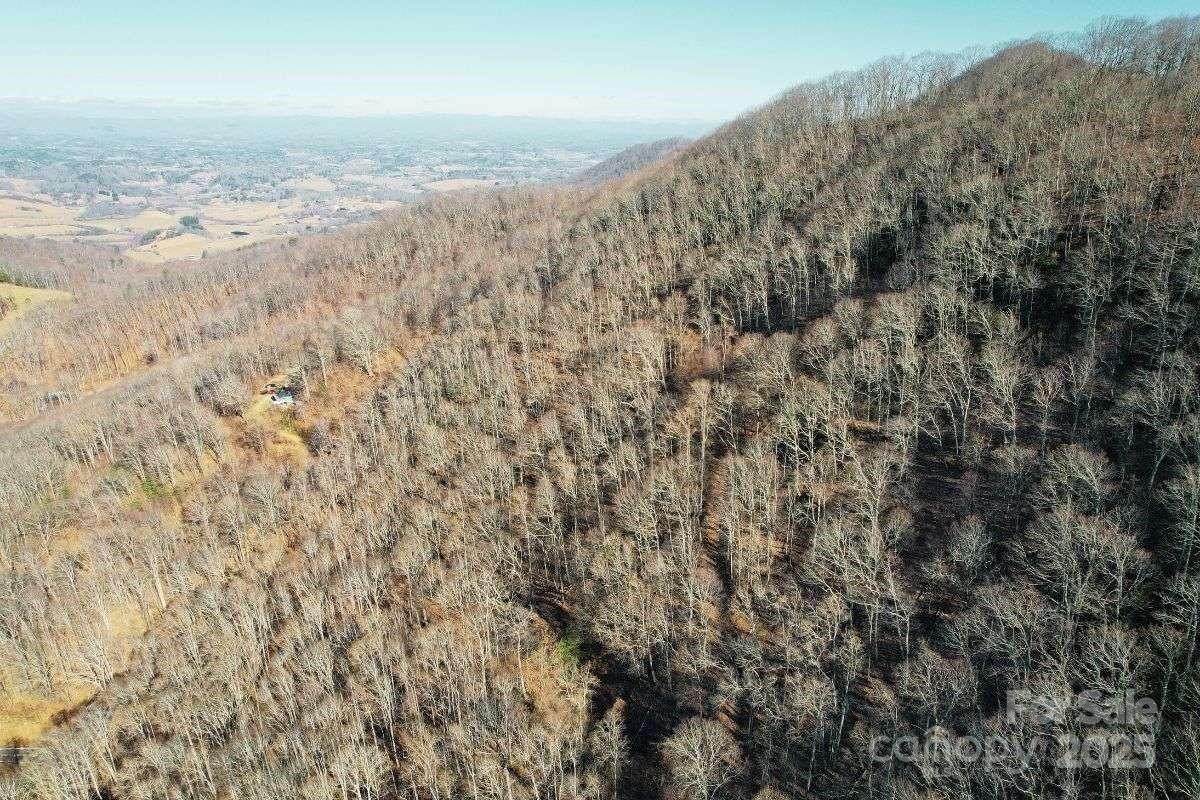 9999 Hookers Gap Road Leicester, NC 28748 - Photo 3 of 10 a view of beach and yard