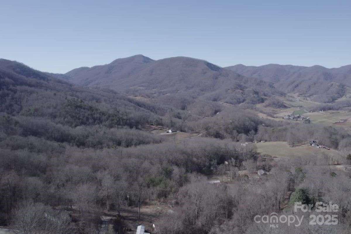 9999 Hookers Gap Road Leicester, NC 28748 - Photo 4 of 10 a view of a mountain in the distance