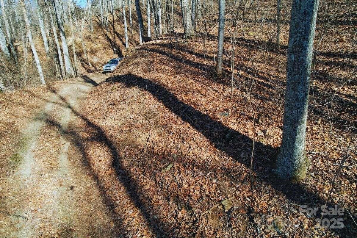 9999 Hookers Gap Road Leicester, NC 28748 - Photo 6 of 10 a view of a yard with wooden fence