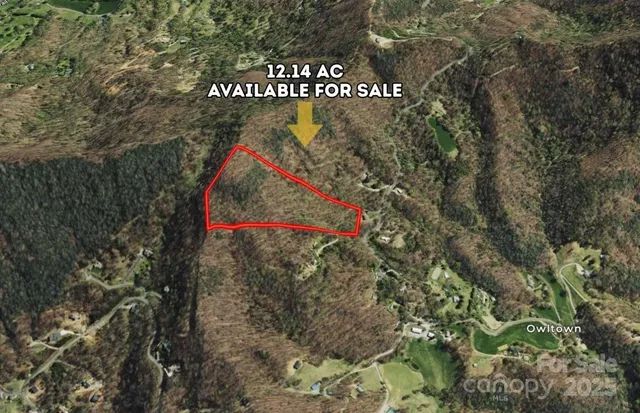 $69,900 | 9999 Hookers Gap Road, Leicester, NC 28748