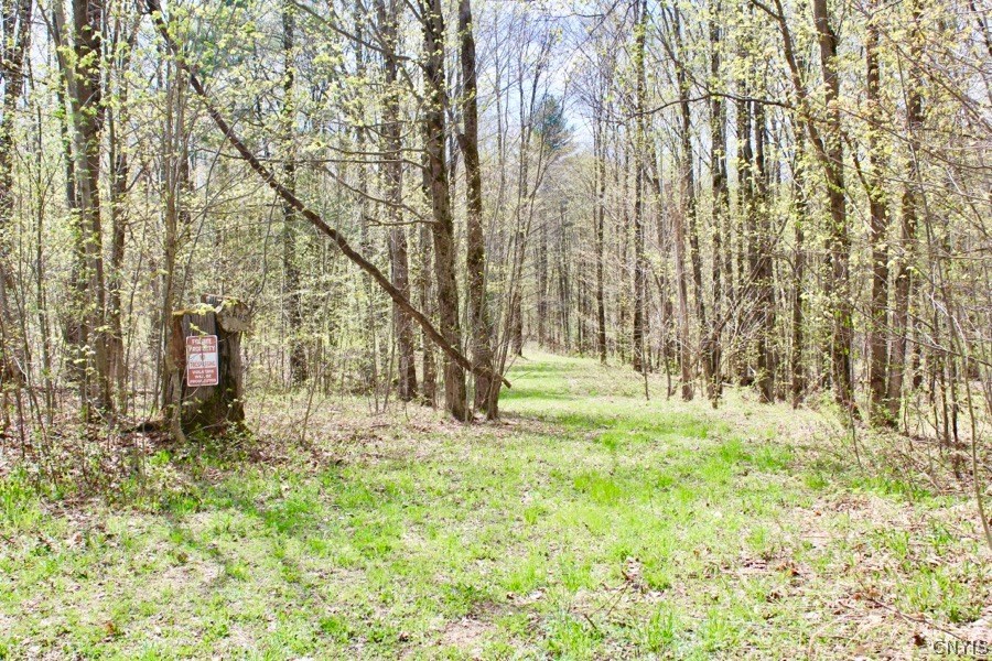 36 Ridge Road Orwell, NY 13144 - Photo 1 of 1 Gallery Image 1
