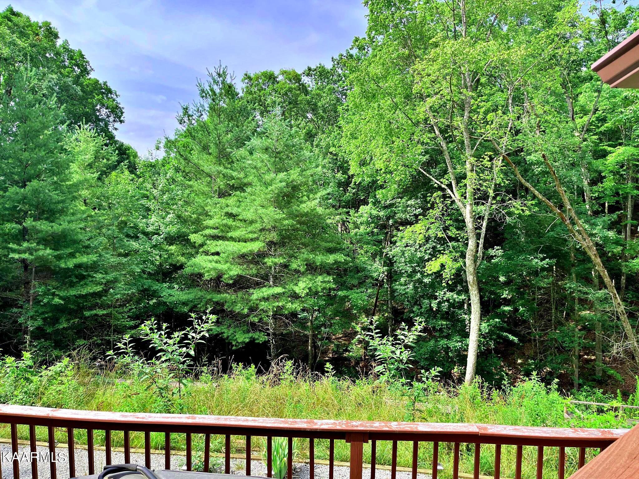 500 Old Furnace Road Tellico Plains, TN 37385 - Photo 20 of 49 288945308_1452406145278182_2829586635867