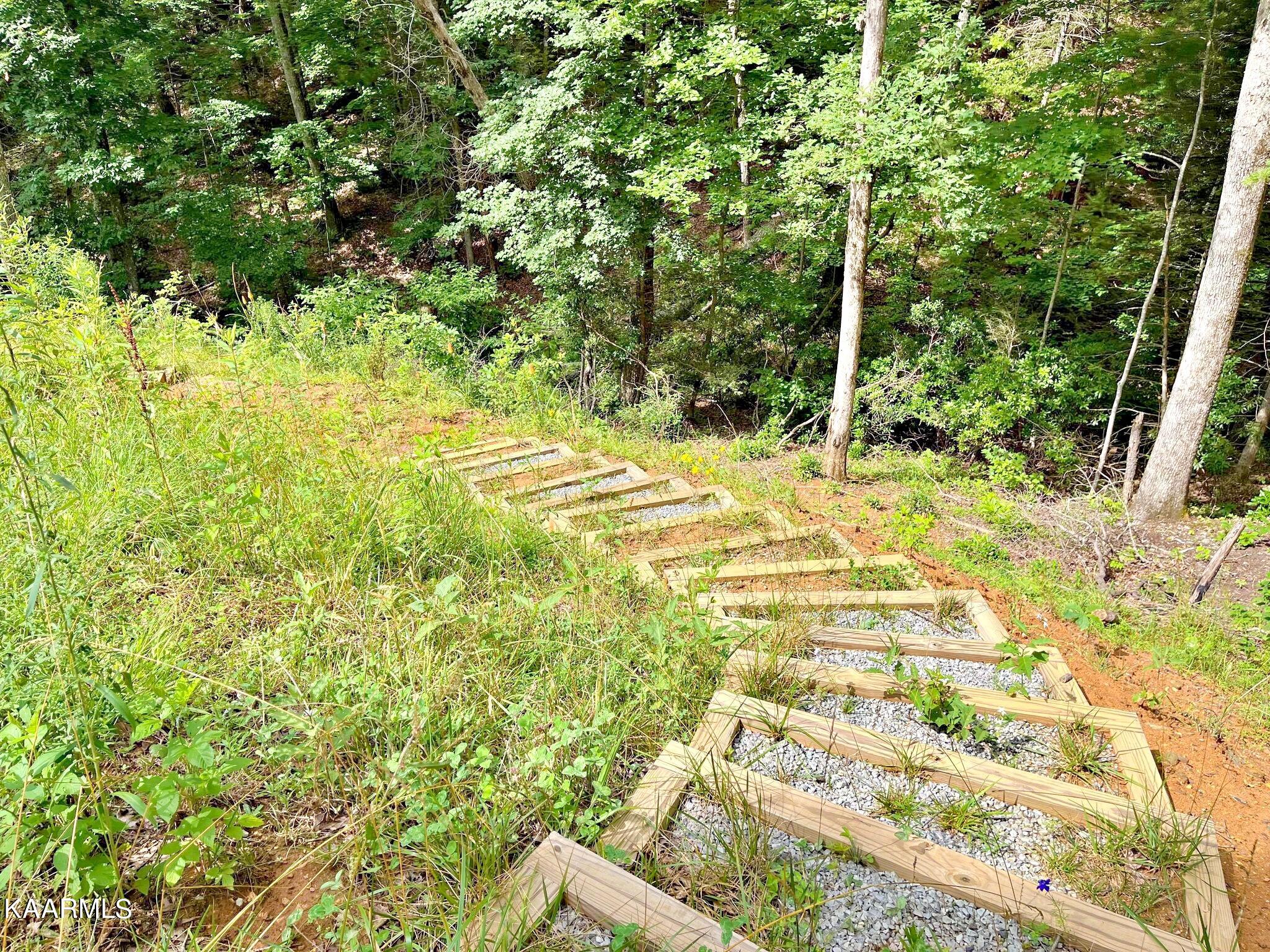 500 Old Furnace Road Tellico Plains, TN 37385 - Photo 39 of 49 289457006_562769142206821_28682093851435