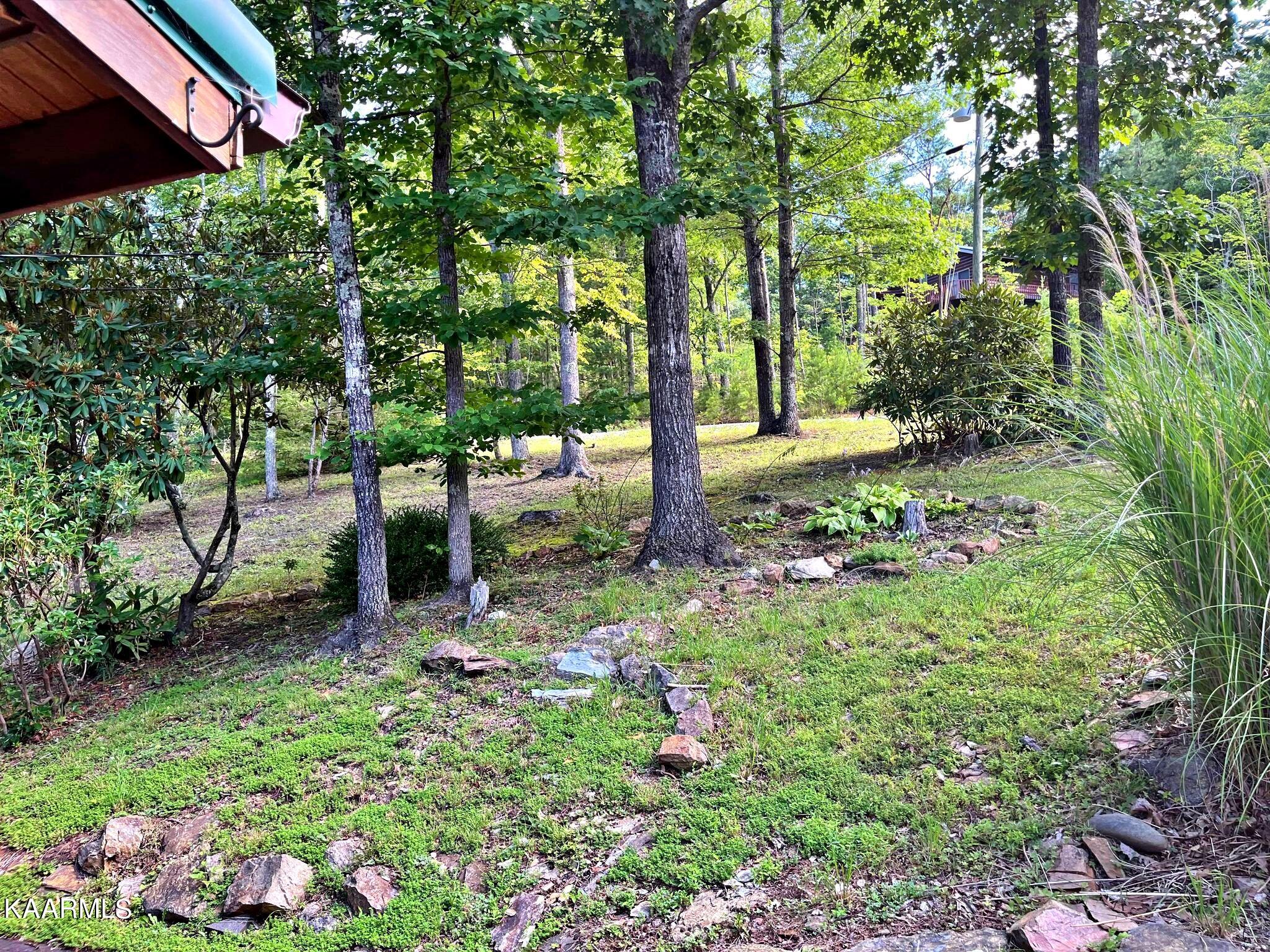 500 Old Furnace Road Tellico Plains, TN 37385 - Photo 47 of 49 292576745_459359388948408_88546883182403