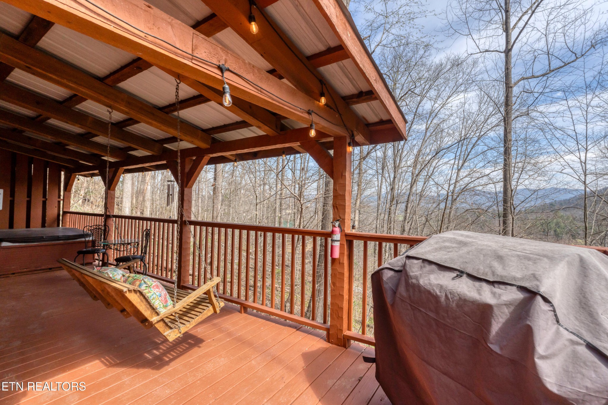 151 Timberwinds Way Townsend, TN 37882 - Photo 4 of 33 Gallery Image 4