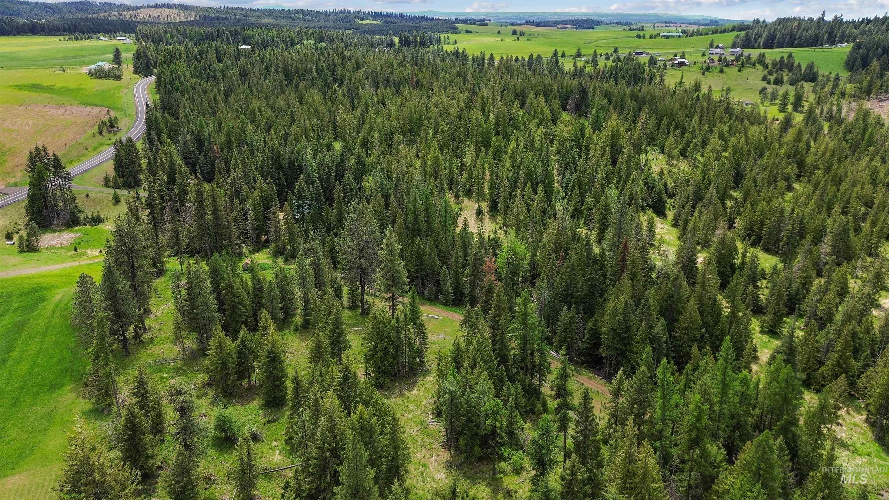 4715 Freeman Creek Road Lenore, ID 83541 - Photo 37 of 50