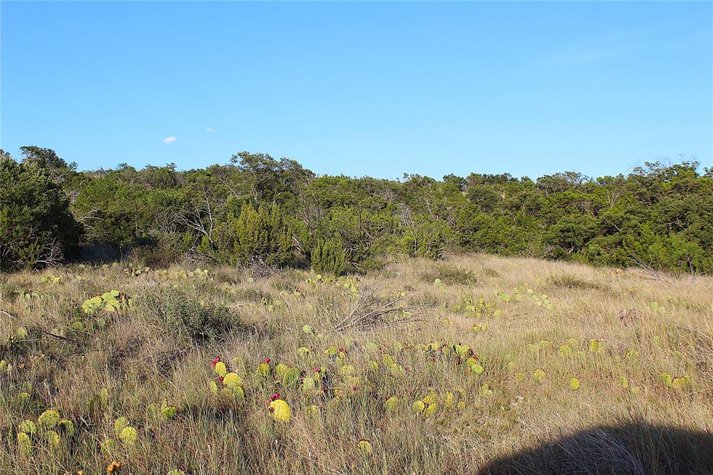 T3 Hwy 208 Robert Lee Tx 76945 Robert Lee, TX 76945 - Photo 5 of 15 a view of a dry yard with large trees